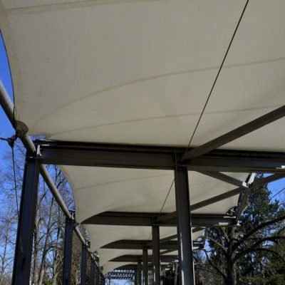 D-istockphoto-1387295351-1024x1024-transformed-1